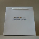 CORPORATE FLEET SOLUTIONS paper-bag