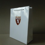 TORINO FC paper-bag